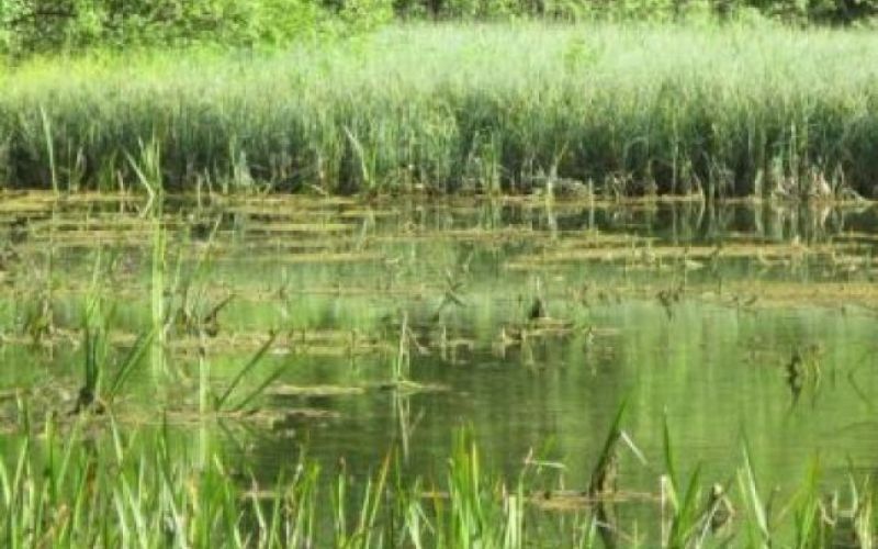 Iz TV-sporedov: torek, 5. oktober