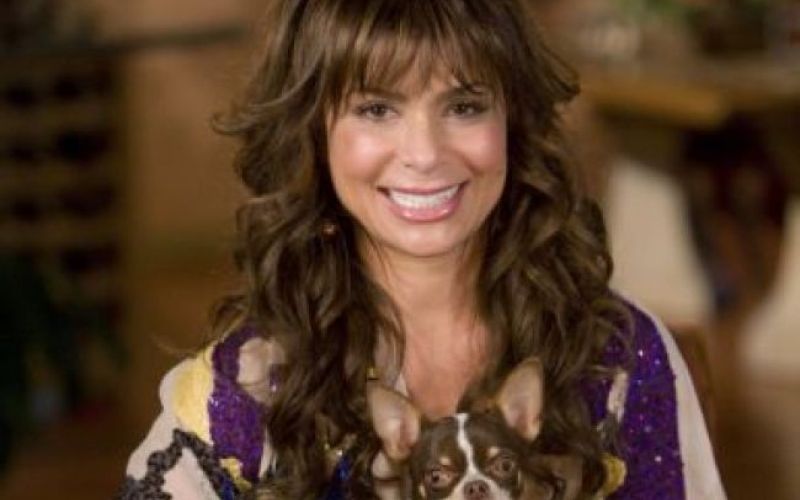 Ameriški idol brez Paule