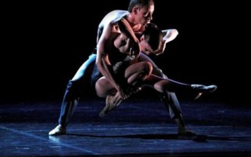 Nadomestni termin za Cluga