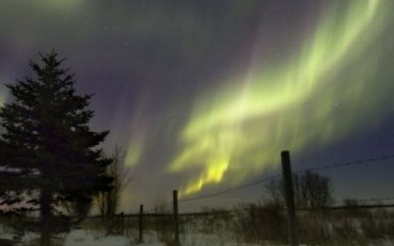 April na Da Vinci Learning