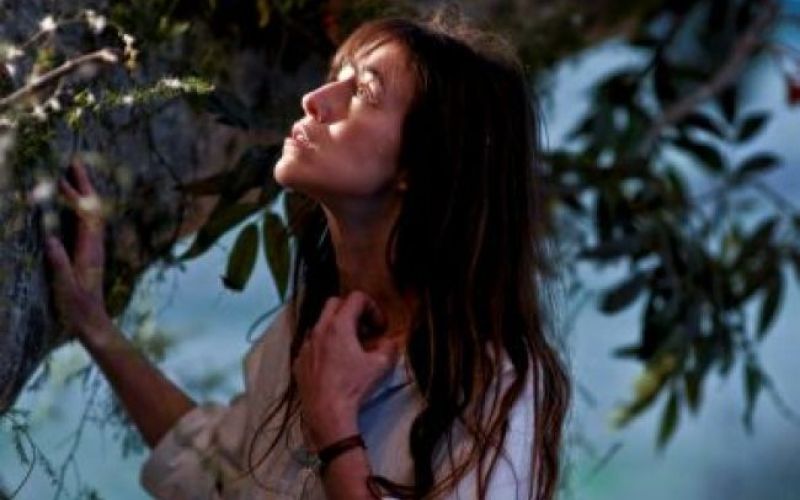 Samo 18 iskalcev zlate palme