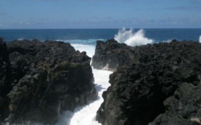 Iz TV-sporedov: četrtek, 3. junij