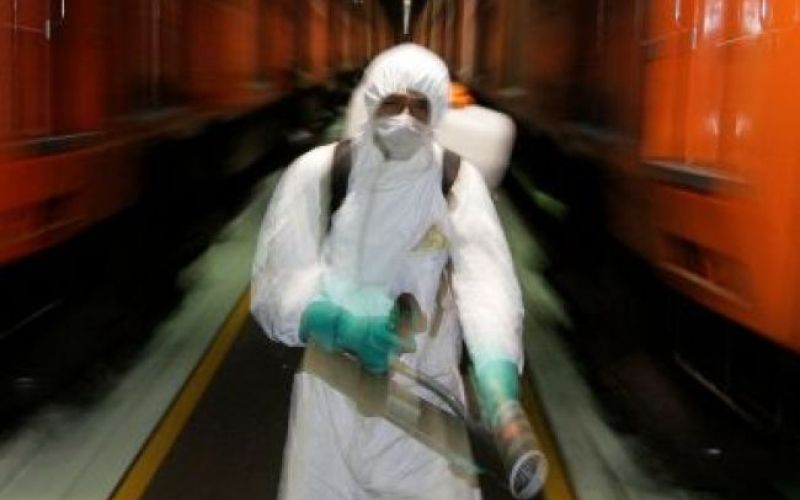 Novinar - (odpuščena) svinja