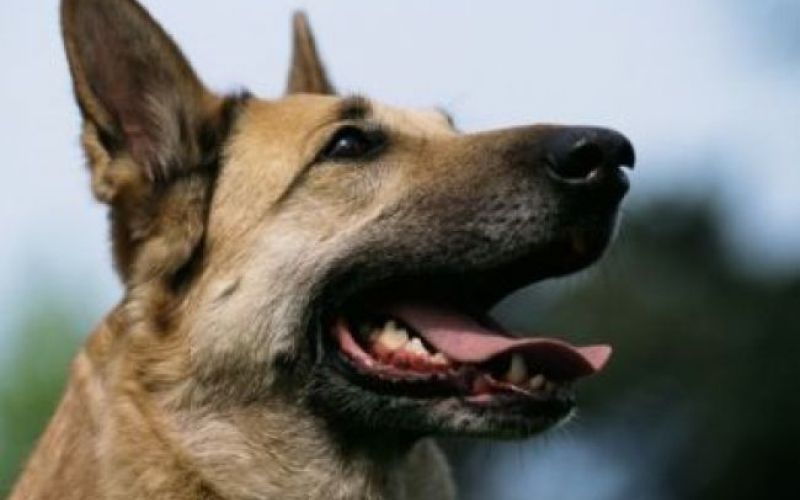 Iz TV-sporedov: torek, 26. oktober