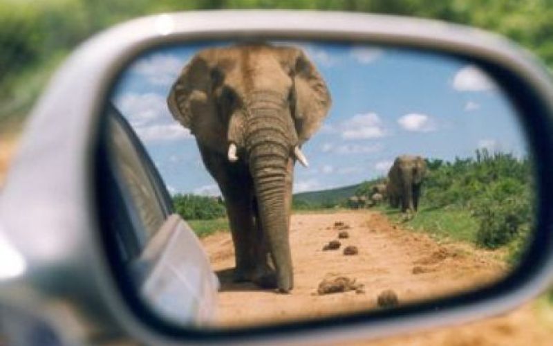 Iz TV-sporedov: torek, 8. junij