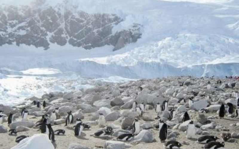 Iz TV-sporedov: torek, 11. maj