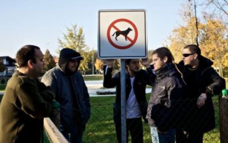 Video: Drugačna godba v Šiški