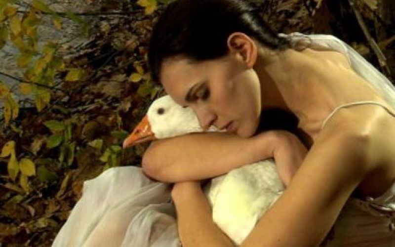 V Pulju deset hrvaških filmov