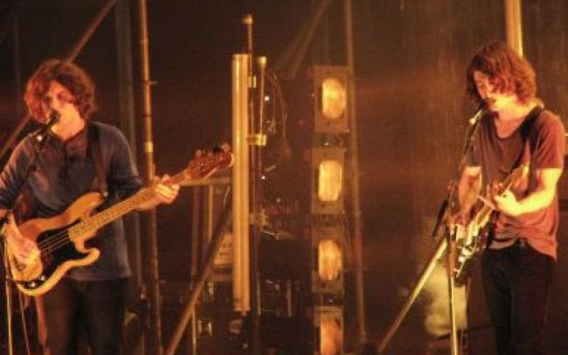 Video: Arktične opice na poletnem Dunaju