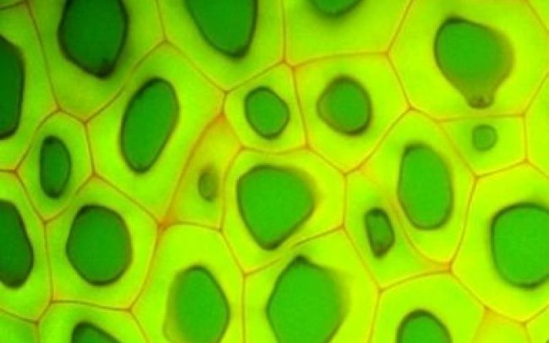 Iz TV-sporedov: petek, 22. aprila