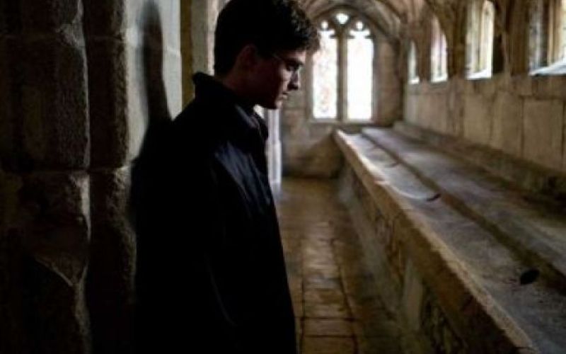 Harry Potter in princ mešane krvi