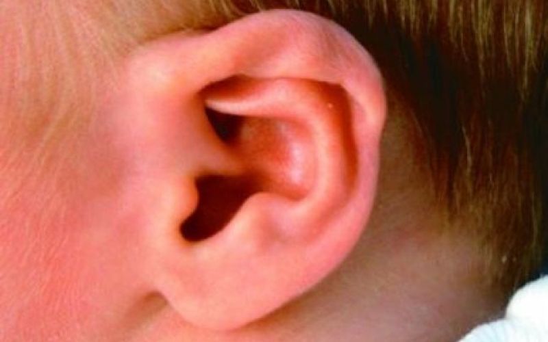 Iz TV-sporedov: četrtek, 9. decembra