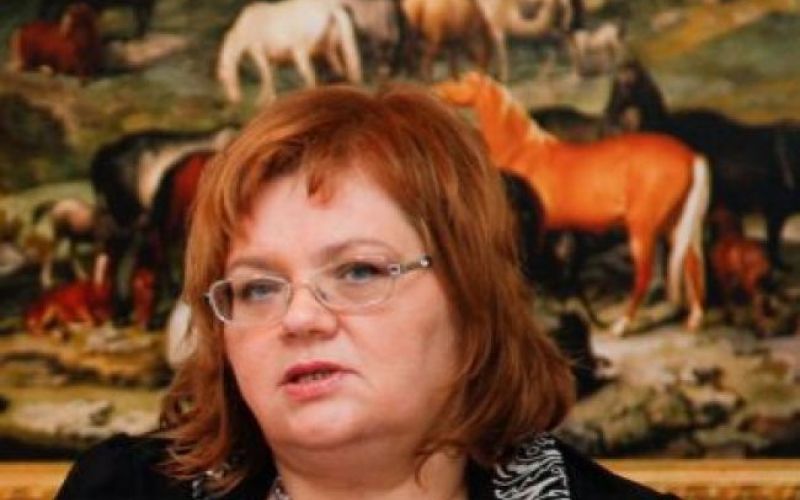 Desa: Ne živim od pisanja!