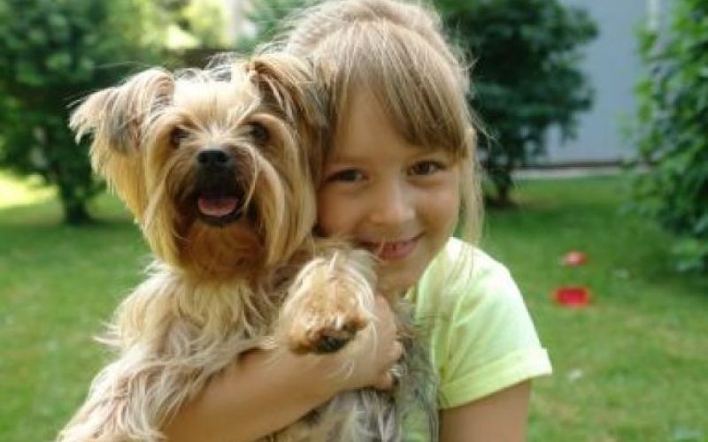 Mala Lina - že TV-zvezda!