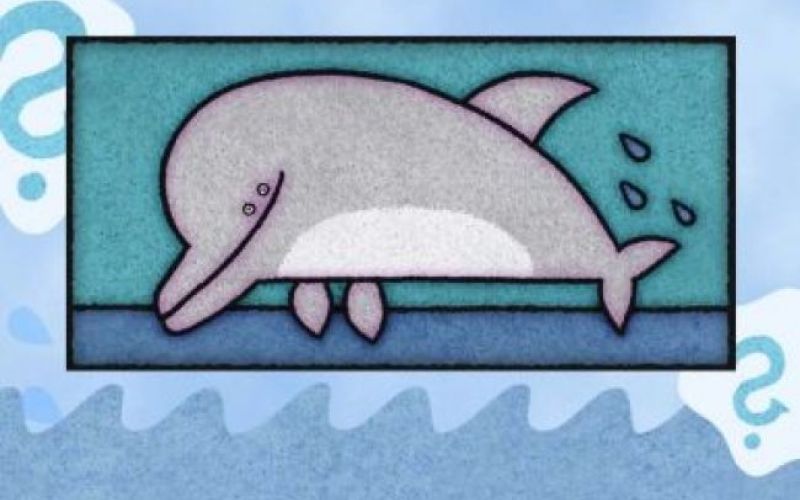 Zabavne živalce Lile Prap na TVS