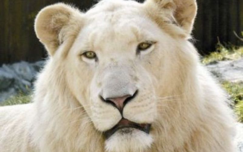 Iz TV-sporedov: torek, 16. november