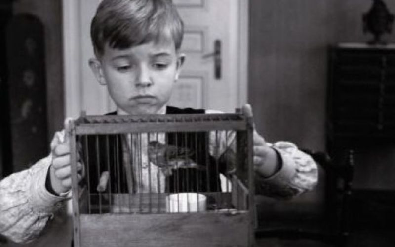 Iz TV-sporedov: ponedeljek, 9. januarja