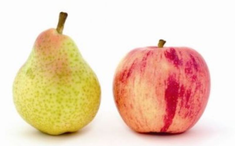 Iz TV-sporedov: torek, 28. september