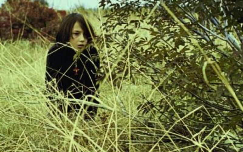 Šterk v Montrealu, Cvitkovič v Bentkah