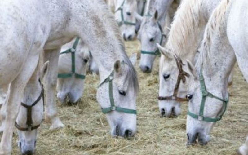 Iz TV-sporedov: sreda, 19. maj