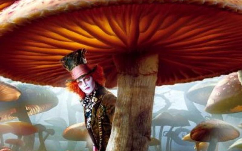 V svetu Burtonove domišljije