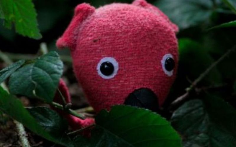 SvÄ›rÃ¡k se vrača s Kukyjem 