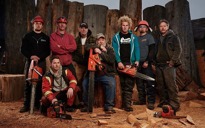 carver kings 01 apsis 800x600_1.jpg