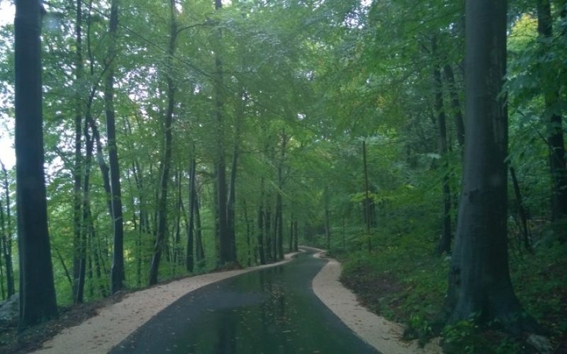 Trbovlje, LC Škofja riža- Završje.jpg