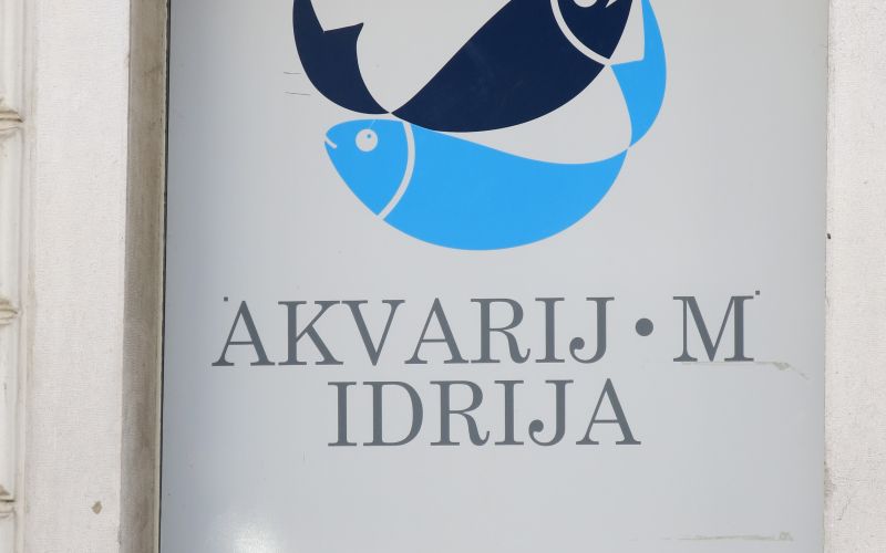 Akvarij M gre v Ljubljano.