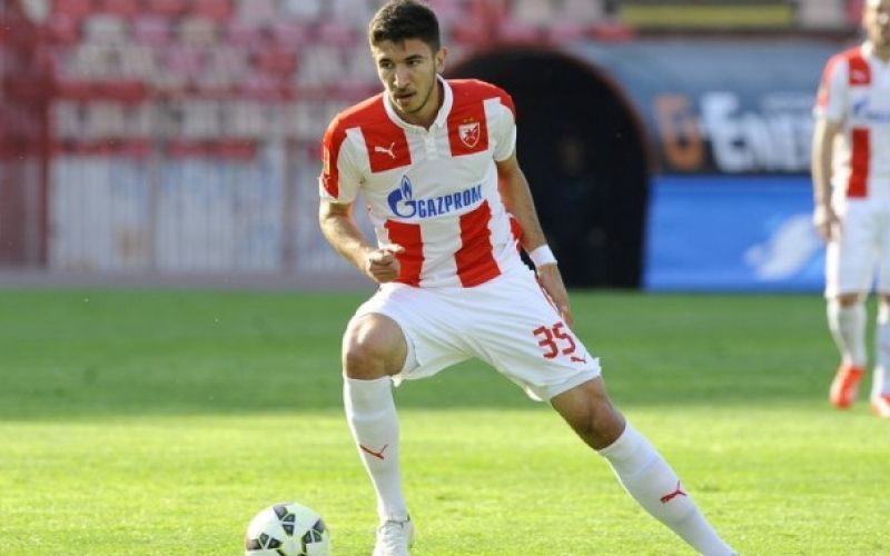 grujic.png