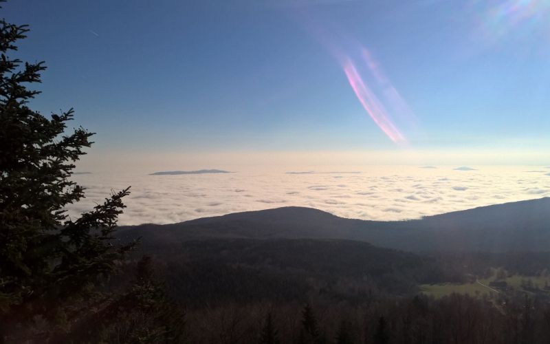wp_20151206_10_47_56_pro.jpg