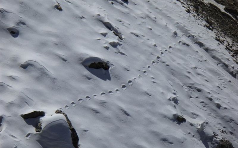 Sneg, Himalaja, sled, sledi, stopinje.jpg