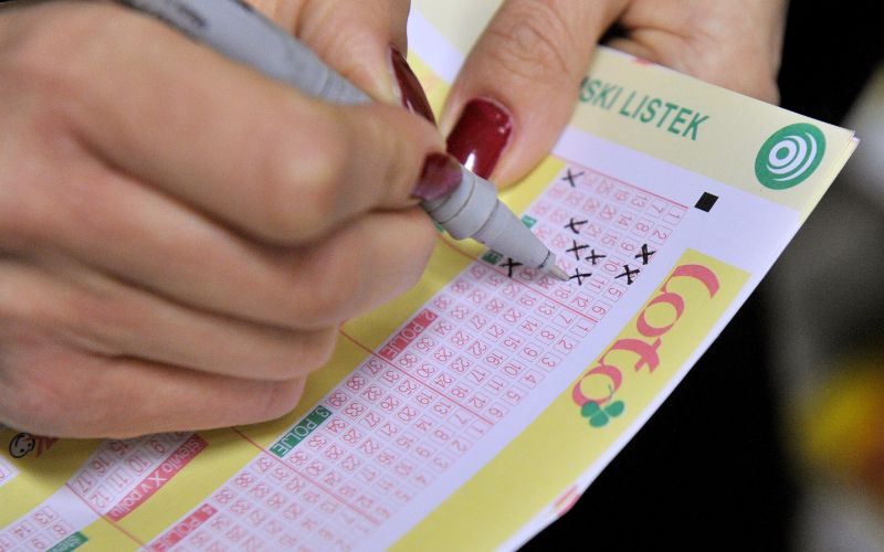sedmica, loto.jpg