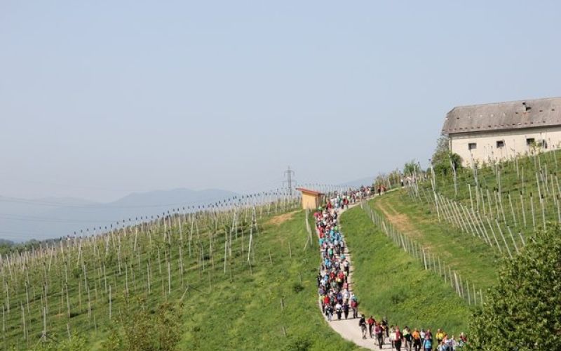 po_slakovi_poti_2013_20.jpg