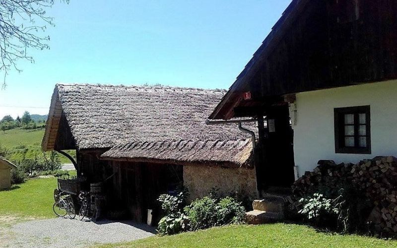 krajinski_park_kolpa_bela_krajina_slovenija_homemade_nature__1_.jpg