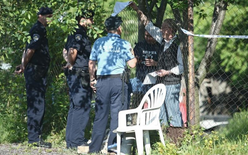 predrag, policija