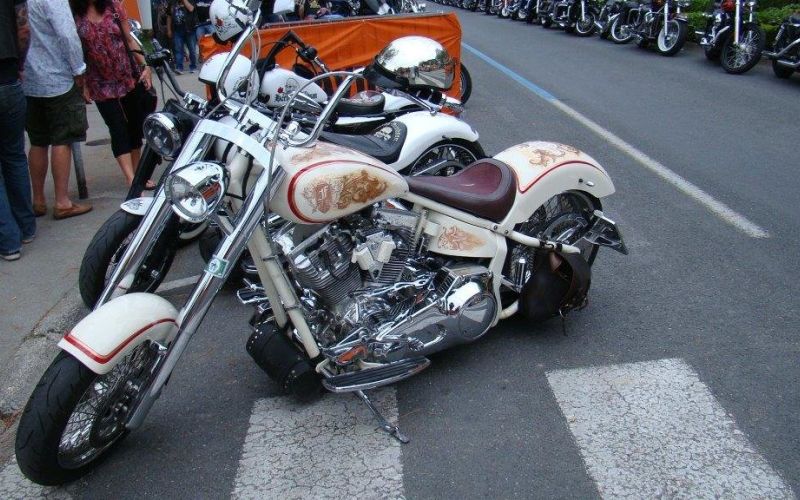 _motorji__1_.jpg