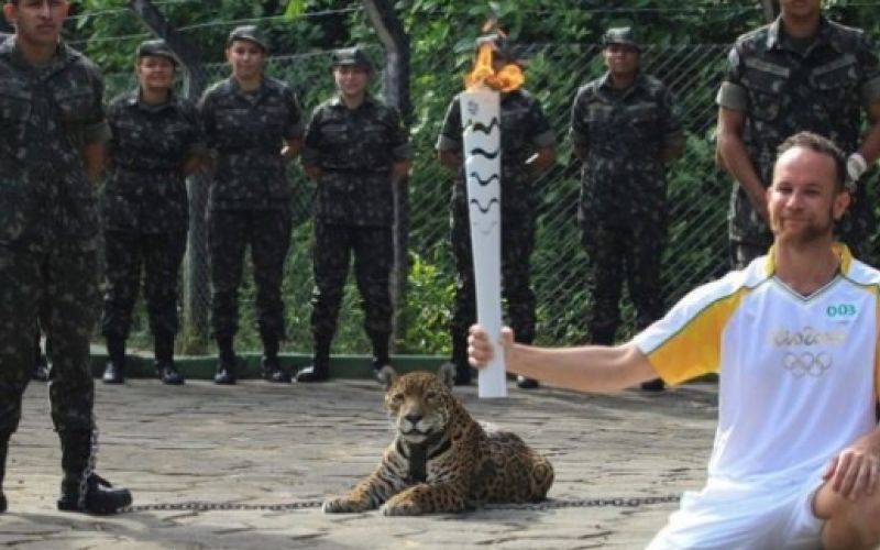 jaguar.jpg