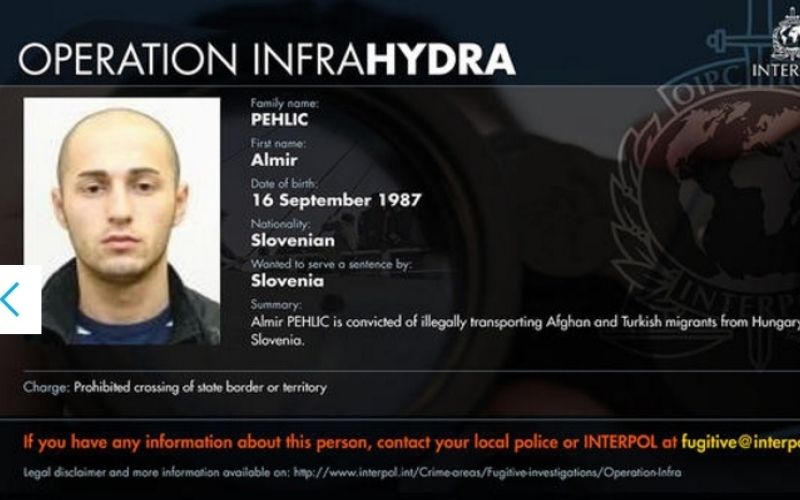 interpol.jpg
