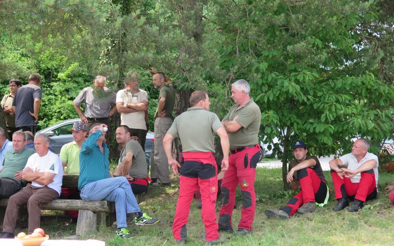 gozdraji delavci Gozdno gospodarstvo Maribor