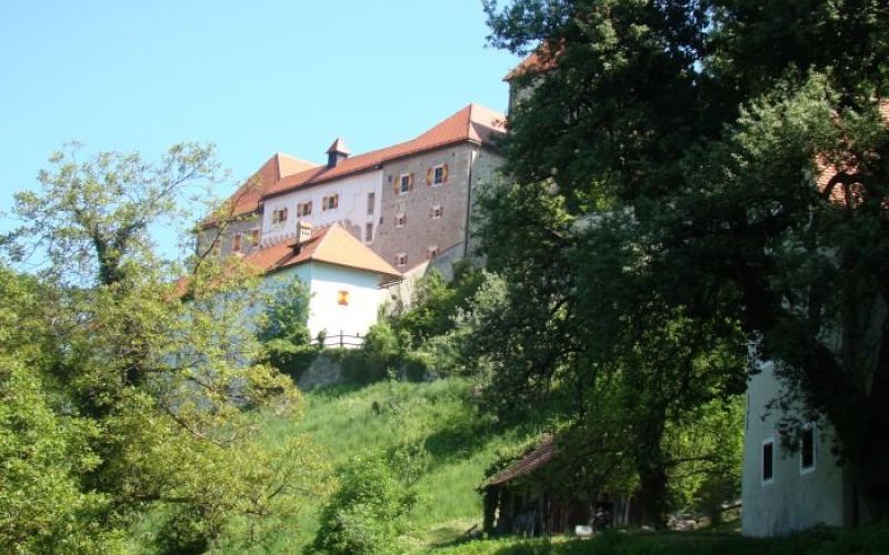 _z7867.jpg