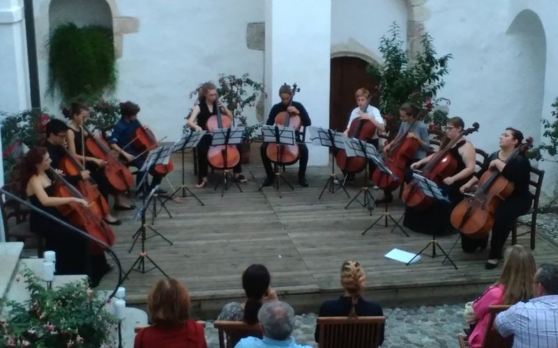 _violon__elo_zaklju__ni.jpg