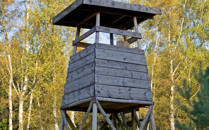 Namesto sveče je prižgal lovsko prežo-1