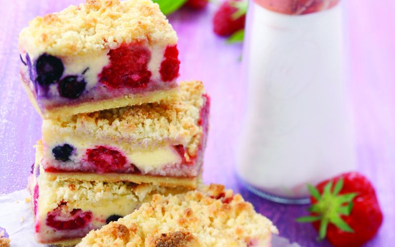 Beeren-Kokos-Schnitte_HS[1].jpg