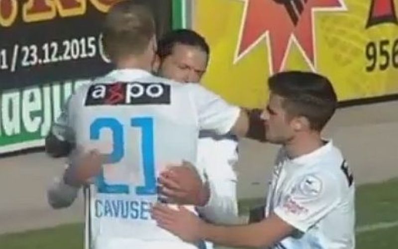 cavusevic vszi.jpg