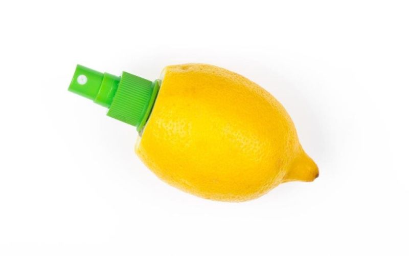 dom_in_gospodinjstvo_limona-POT.jpg