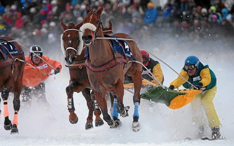 White Turf.jpg