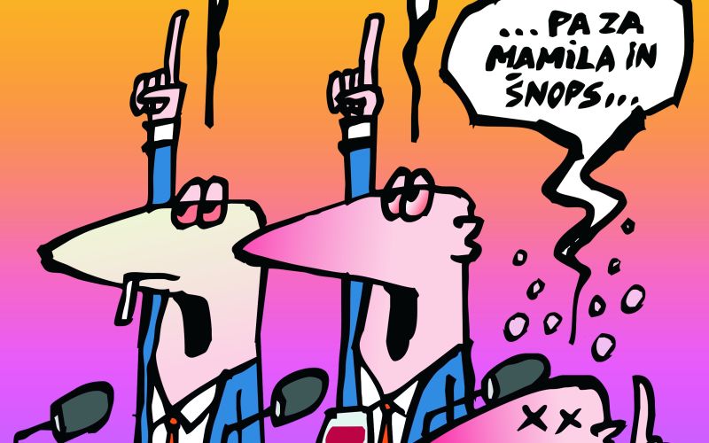 karikatura_Novi poslanski dodatki.JPG