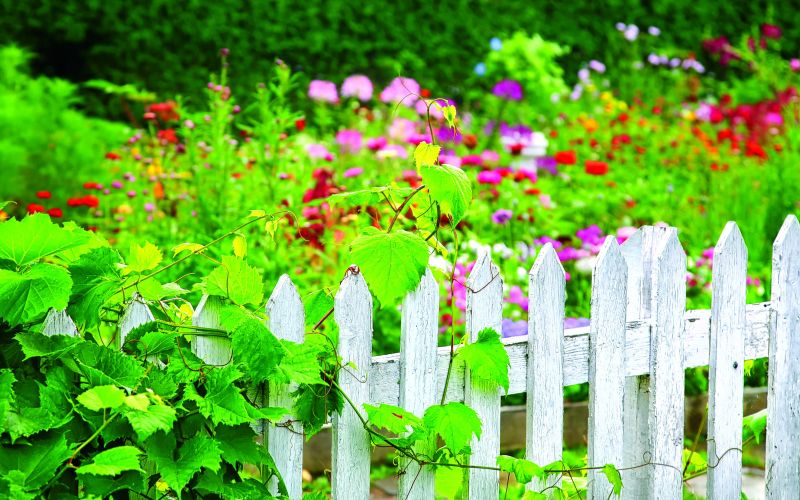 juznic_obhisni_vrt_plot_shutterstock_112764790.jpg