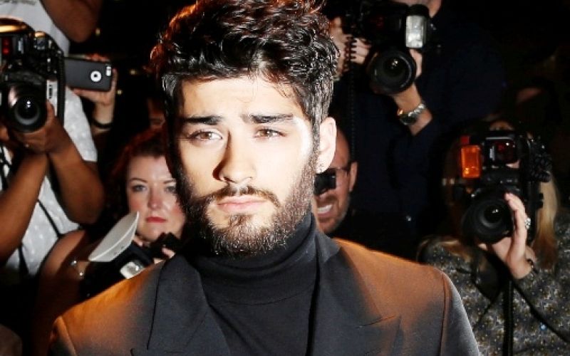 gl-zayn-nosilna 20cm.jpg